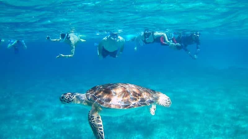 Billet Caye Caulker : plongée en apnée à Hol-Chan et visite de l'île de San Pedro
