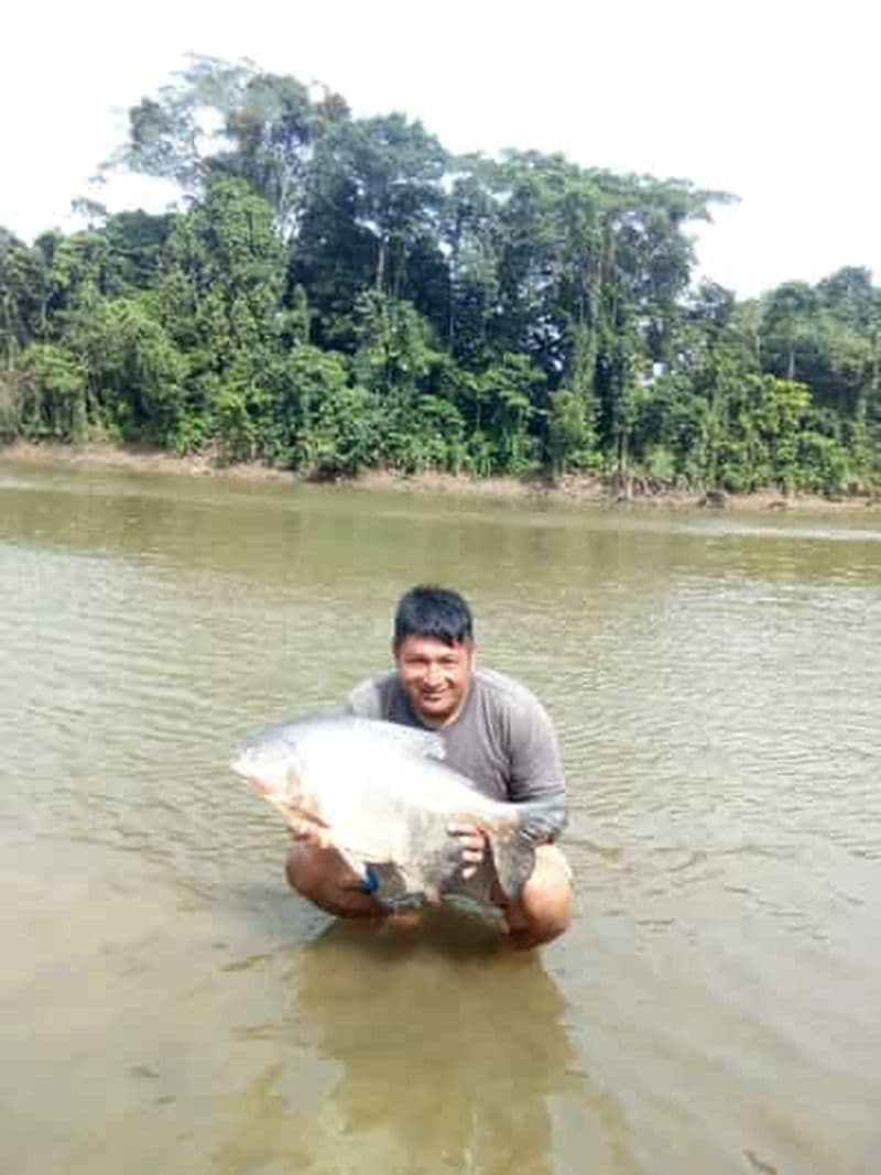 Billet Excursion dans la jungle - Amazonia For A Day