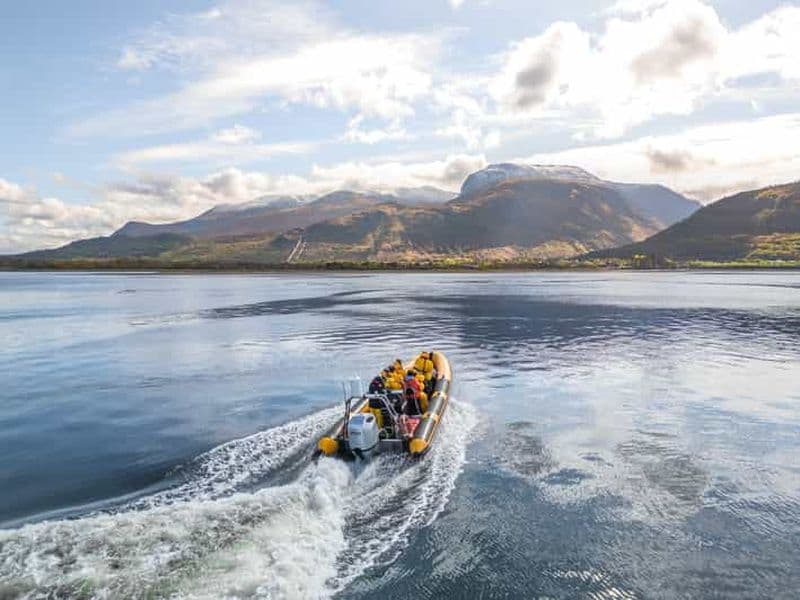 Billet Fort William : 1hr Loch Safari Speedboat Tour