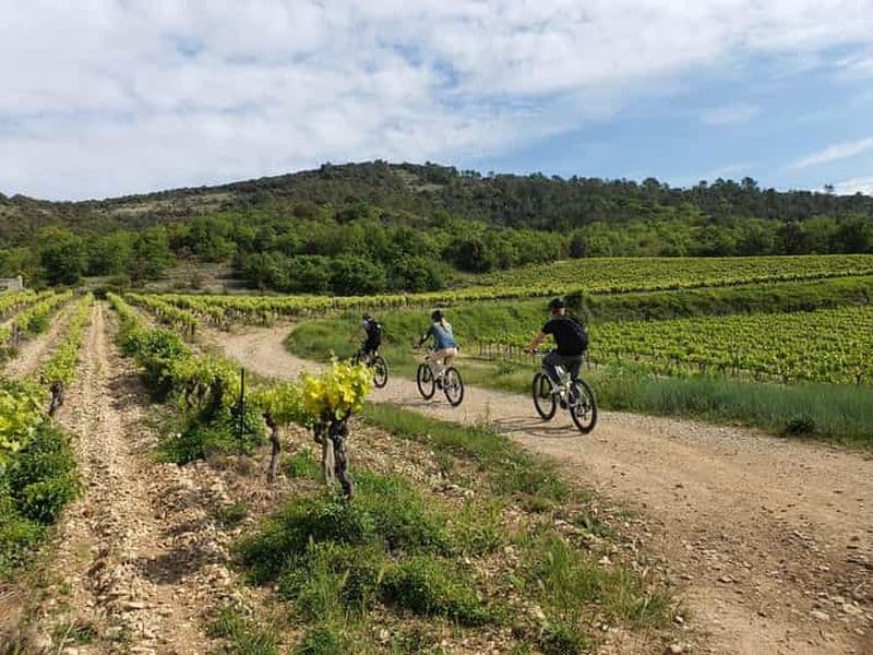 Billet Saint-Martin-d'Ardèche : Visite et dégustation de vins à vélo électrique