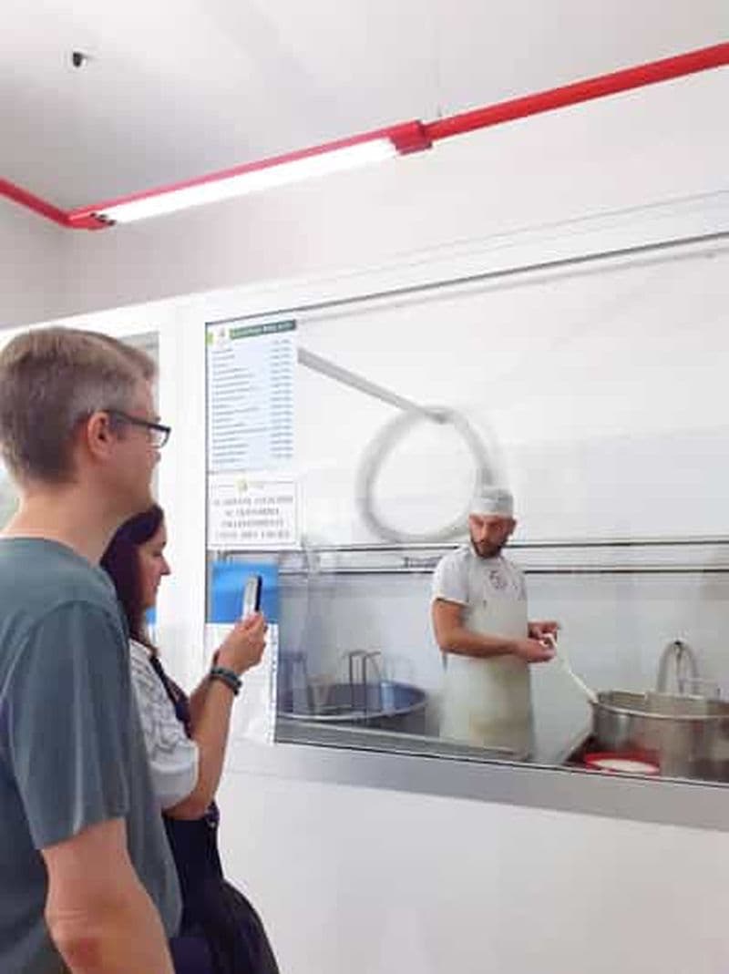 Billet Brindisi : Mozzarella : spectacle en direct et dégustation dans une fromagerie