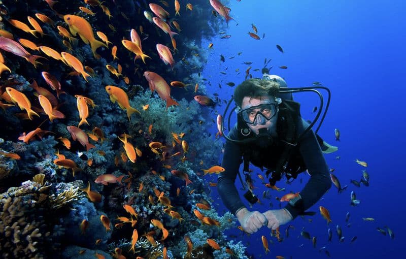 Billet Plongée sous-marine à Rajah Ampat