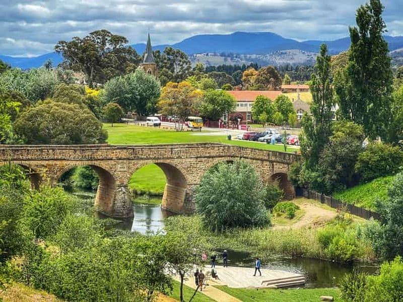 Billet Visite d'une demi-journée du sanctuaire de la faune de Bonorong au départ de Hobart