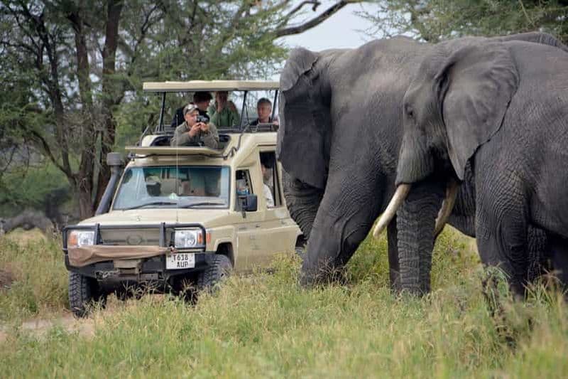 Billet Safari de 7 jours avec les Big Five dans le nord de la Tanzanie