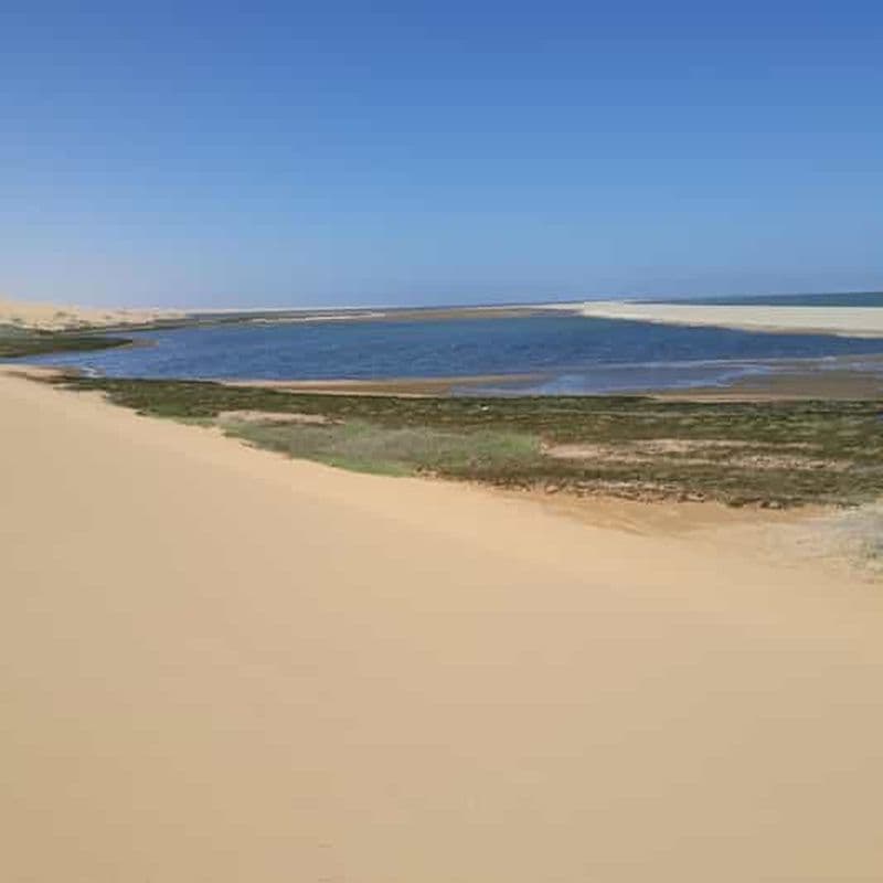 Billet Walvis Bay : Visite du port Sandwich