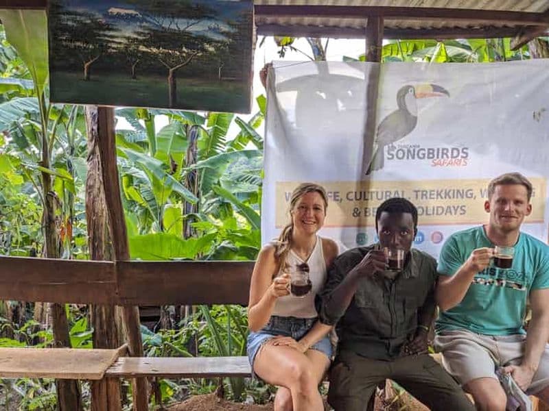 Billet Arusha : Chute d'eau de Materuni, visite du café local et source d'eau chaude