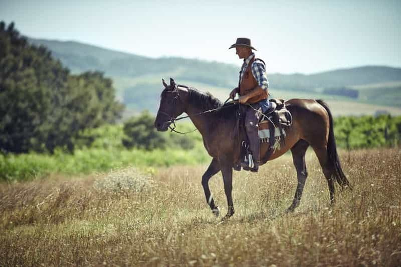Billet Agadir : Randonnée à cheval en forêt et dans les dunes de sable