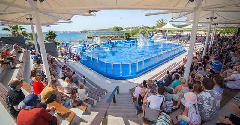 Billet Costa d'en Blanes : Billets d'entrée pour Marineland Mallorca