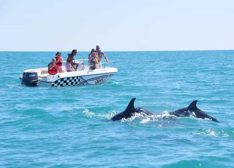 Billet Djerba : Aventure marine et recherche de dauphins en bateau rapide