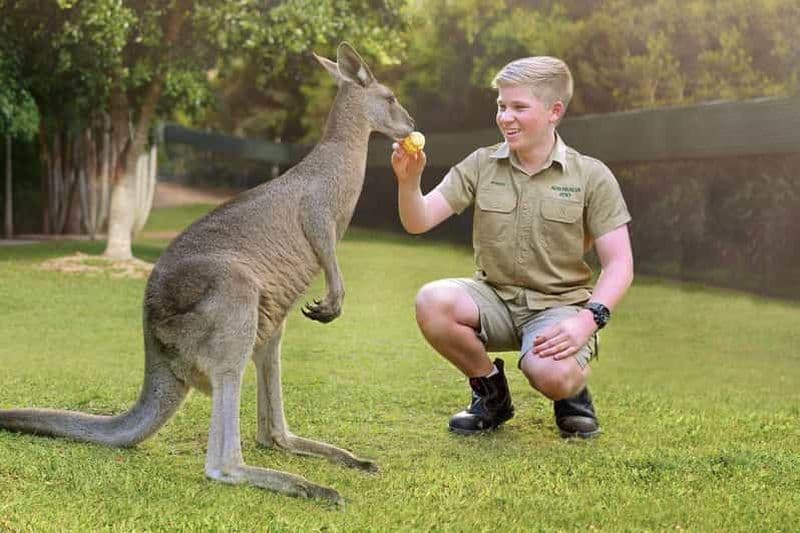Billet Depuis Brisbane : billet pour le zoo d'Australie et transfert aller-retour