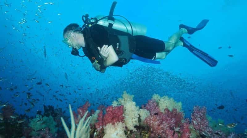 Billet Au départ de Phuket : Excursion d'une journée pour faire de la plongée sous-marine sur les îles Similan