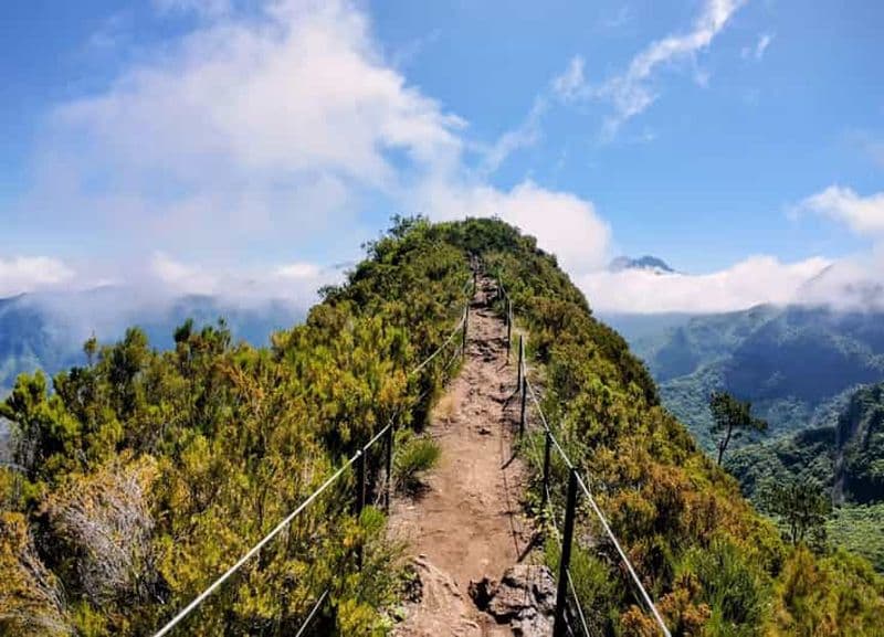 Billet Madère : randonnée guidée de Bica da Cana à Encumeada avec prise en charge