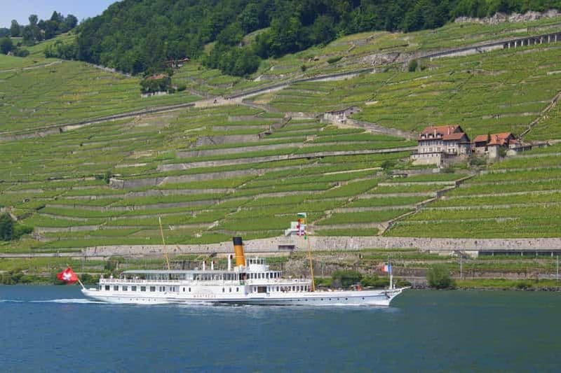 Billet Lausanne : Croisière de 2 heures sur le lac Léman, le long des vignobles de Lavaux