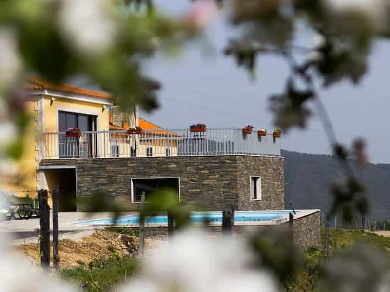 Billet Régua : dégustation de vin dans une ferme, déjeuner traditionnel, croisière et train