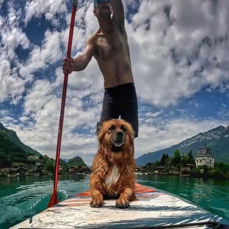 Billet Iseltwald : Cours privé de SUP + Brunch