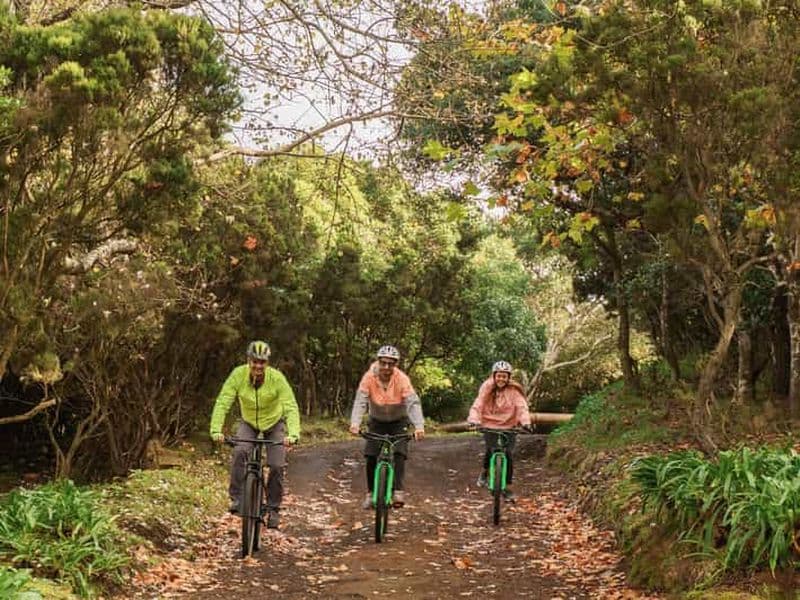 Billet VTT - Niveau expérimenté