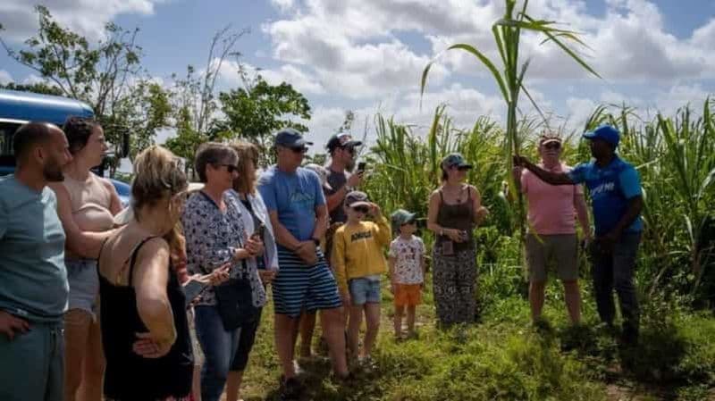 Billet Punta Cana : Safari et visite de la ville à cheval