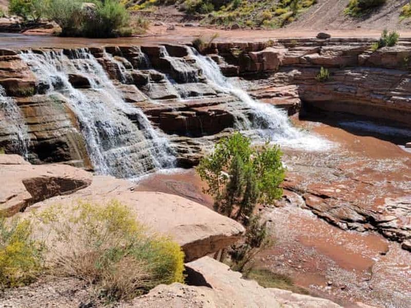 Billet Parc national de Zion : Excursion en Hummer avec chutes d'eau et piscines