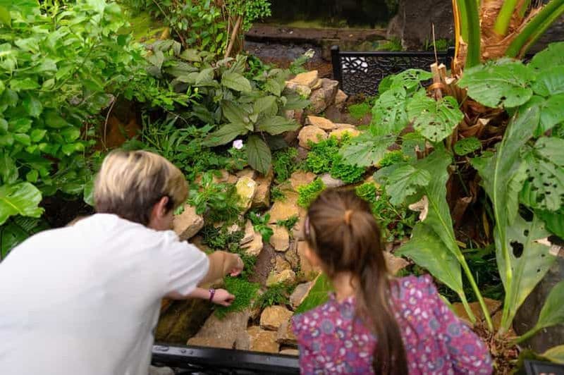 Billet West Berkshire, Royaume-Uni : billet d'entrée au Living Rainforest Centre