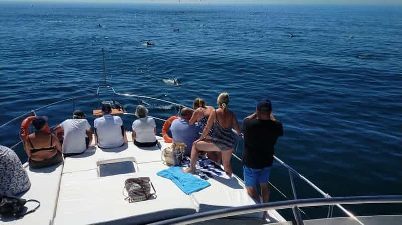 Billet Fuengirola : Excursion en bateau pour repérer les dauphins avec boissons et collations