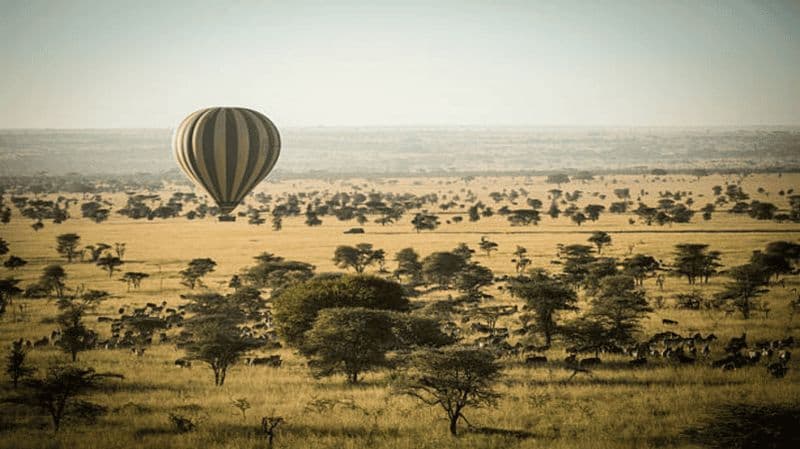 Billet Safari en montgolfière de 2 nuits dans le Serengeti