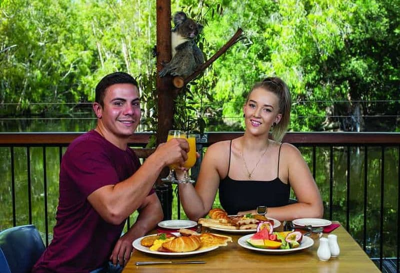 Billet Hartley's Crocodile Adventures : Petit-déjeuner avec les koalas de Hartley