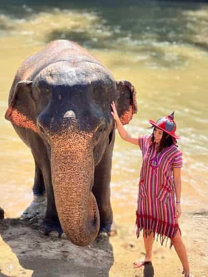 Billet Chiang Mai : Soins aux éléphants et village à long cou