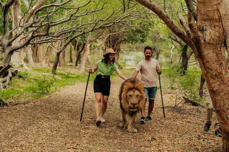 Billet Maurice : Parc naturel de Casela et visite de la plage de Flic en Flac