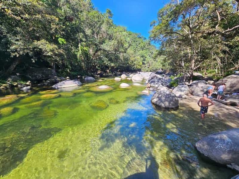 Billet Cairns : Forêt tropicale de Daintree, gorges de Mosman et visite des aborigènes