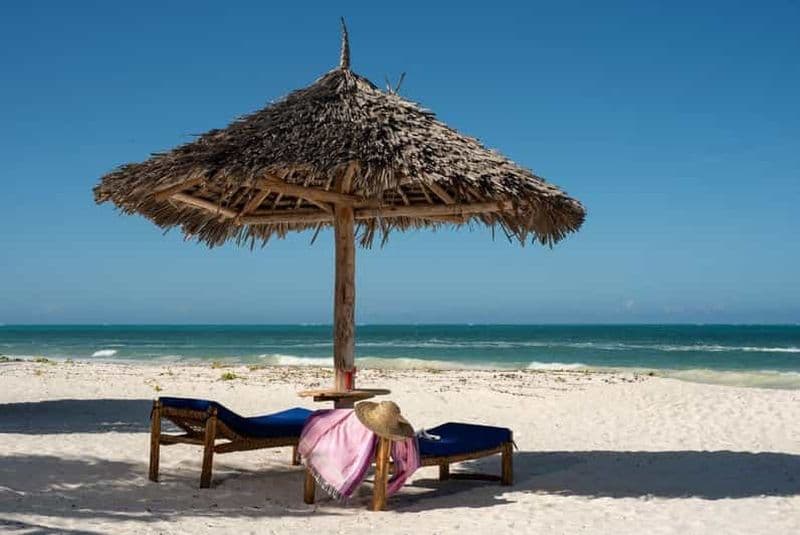 Billet Excursion dans la forêt de Jozani et à la plage de Paje avec le restaurant The Rock