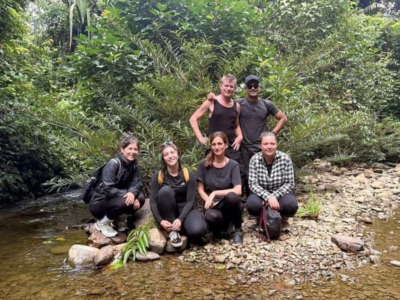 Billet Trek dans la jungle de Langkawi et aventure culinaire