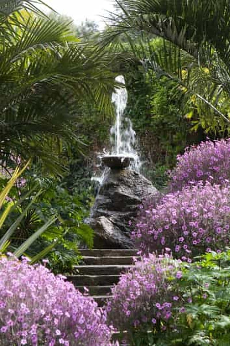 Billet Au départ de Naples : Ischia, excursion dans les jardins de La Mortella avec déjeuner