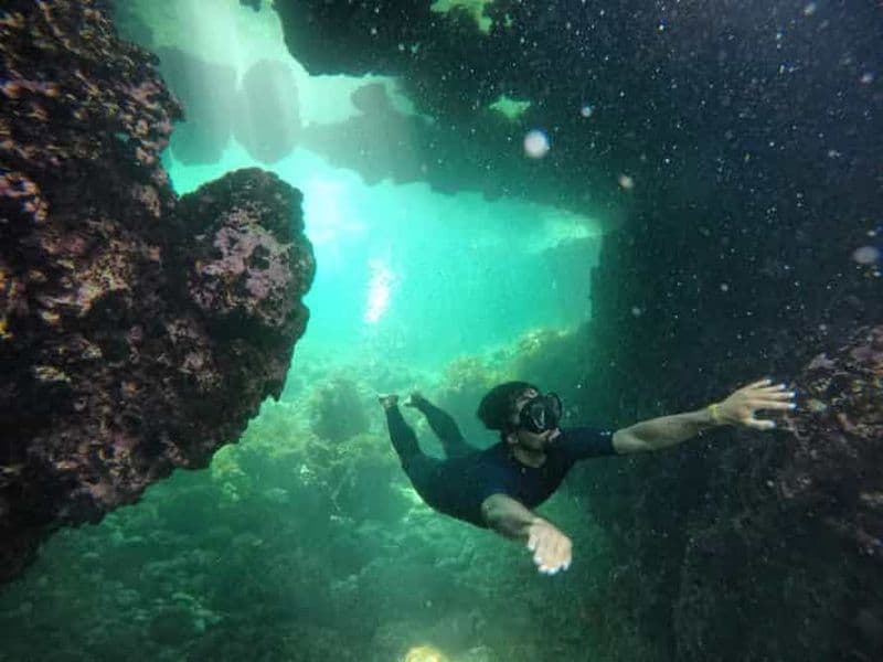 Billet PUNTA DEL HIDALGO : EXCURSION DE PLONGÉE EN APNÉE DANS LES PISCINES DE TENERIFE NORD