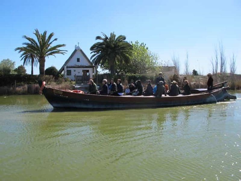 Billet Depuis Valence : Bus, croisière et déjeuner dans le parc naturel de l'Albufera