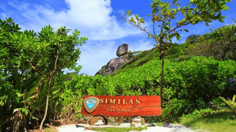 Billet Au départ de Khao Lak : Excursion en bateau rapide pour la plongée en apnée dans les îles Similan