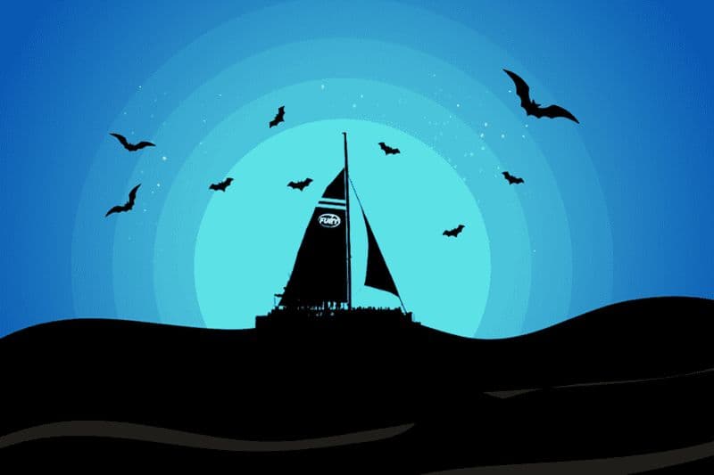 Billet St. Augustine : Haloween Boo Bash et observation des dauphins