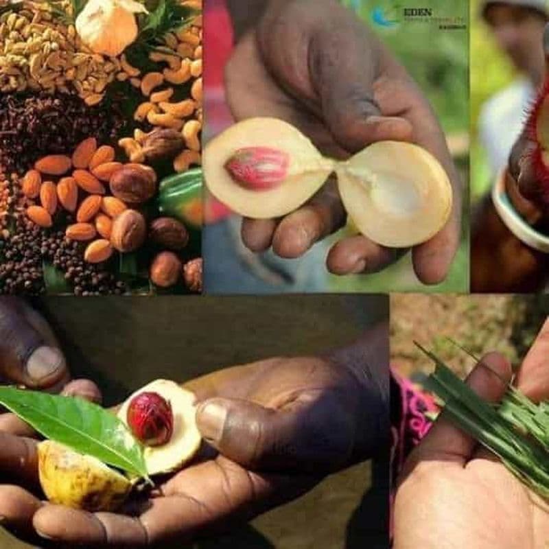 Billet Zanzibar : visite aux épices et visite à pied de Stone Town