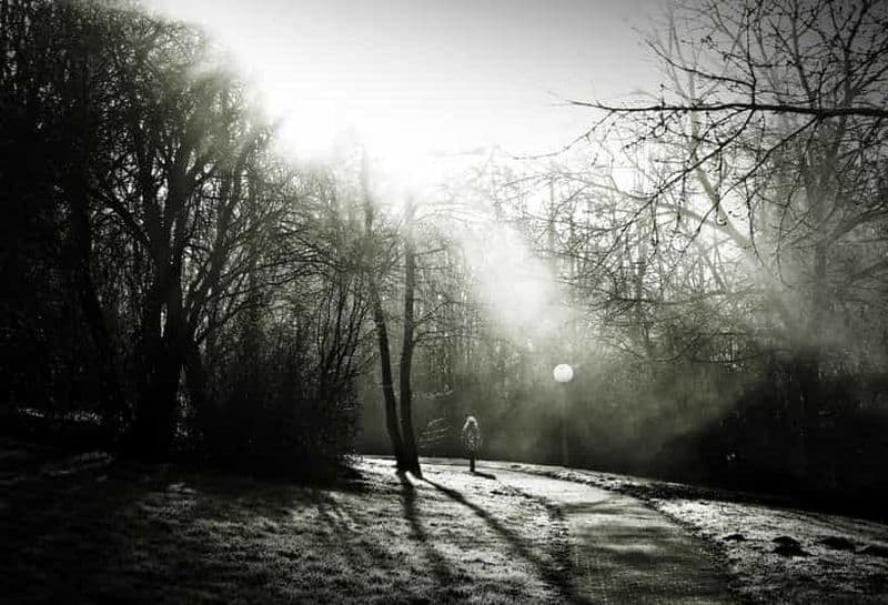 Billet Bienne : visite guidée privée de la ville