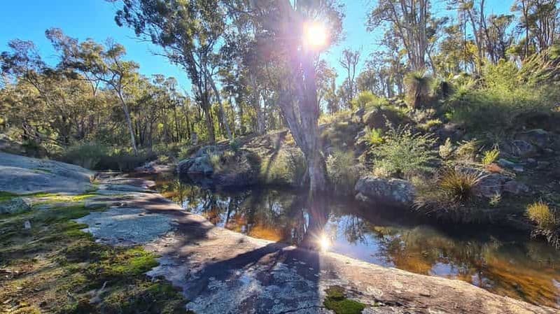 Billet Perth Hills : Randonnée de méditation avec thé du matin