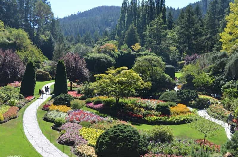 Billet Depuis Victoria : les Jardins Butchart en navette express