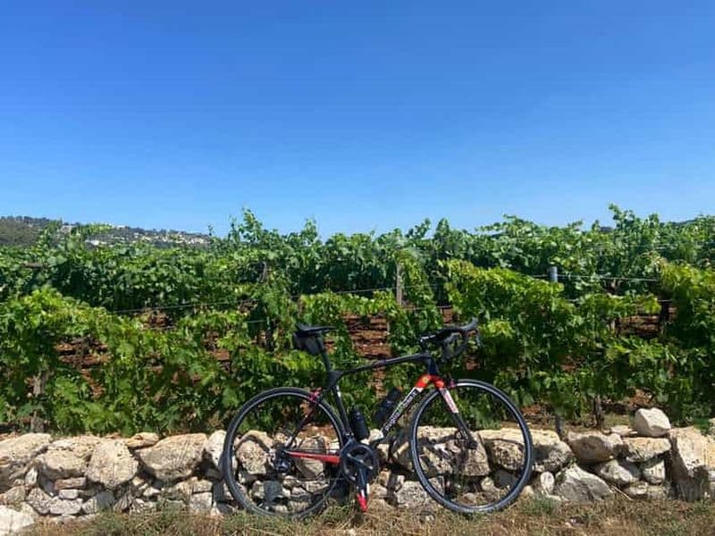 Billet Valle D'Itria : Voyager avec des vélos professionnels