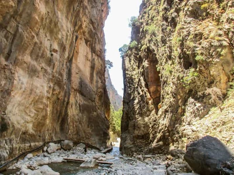 Billet Au départ de La Canée : excursion d'une journée dans les gorges de Samaria avec guide