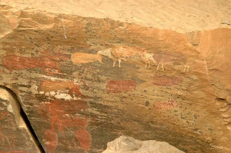 Billet Au départ de Durban : excursion dans les montagnes du Drakensberg et aux chutes d'Howick