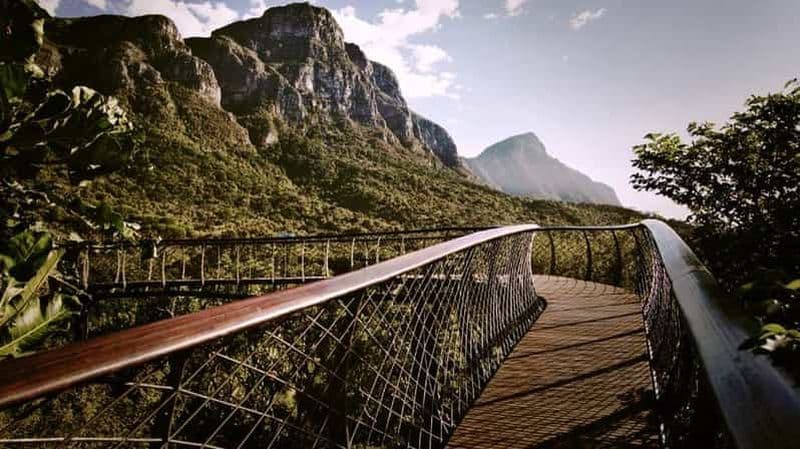 Billet Visite privée des vignobles de Constantia et des jardins de Kirstenbosch