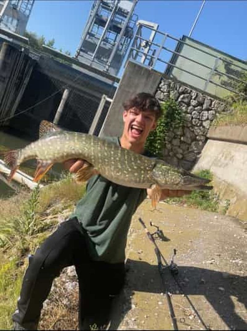 Billet Guide de pêche Southtyrol-Trento : Brochet, Perche, Truite