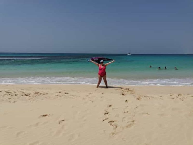 Billet En français : tortues, requins, plage de Santa Monica, épave, grotte...