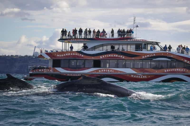 Billet Sydney : Croisière express de 2 heures pour observer les baleines