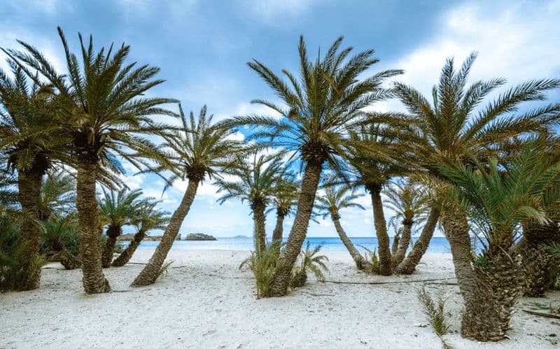 Billet Plage exotique de Vai Palm Beach, monastère de Toplou et ville de Sitia