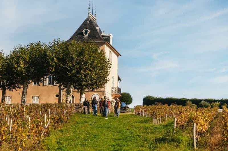 Billet Au départ de Lyon : Circuit des vins du Beaujolais avec dégustations