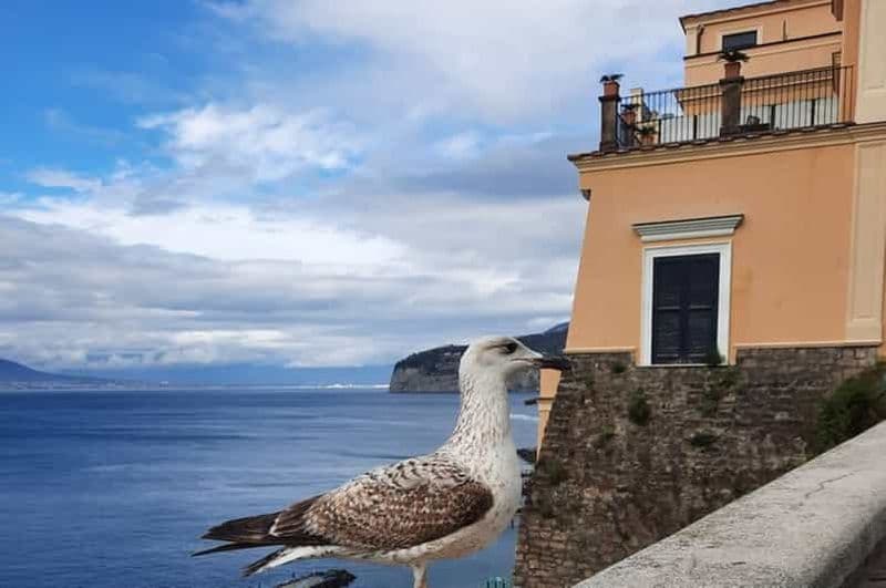 Billet Sorrente : visite à pied privée avec des paysages époustouflants